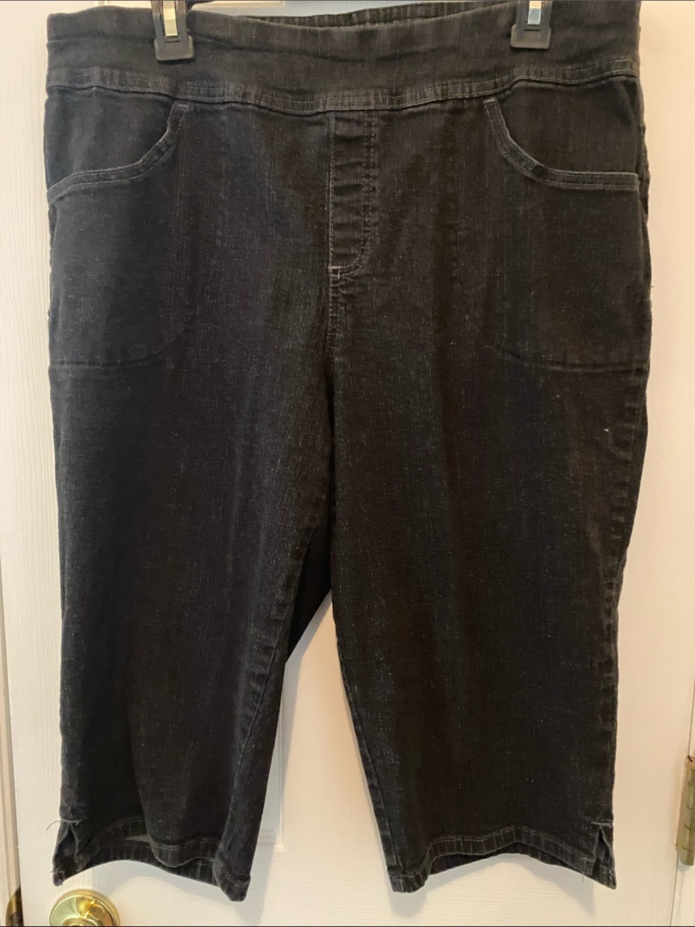 Terra & Sky Black Capri Pull-On Pants